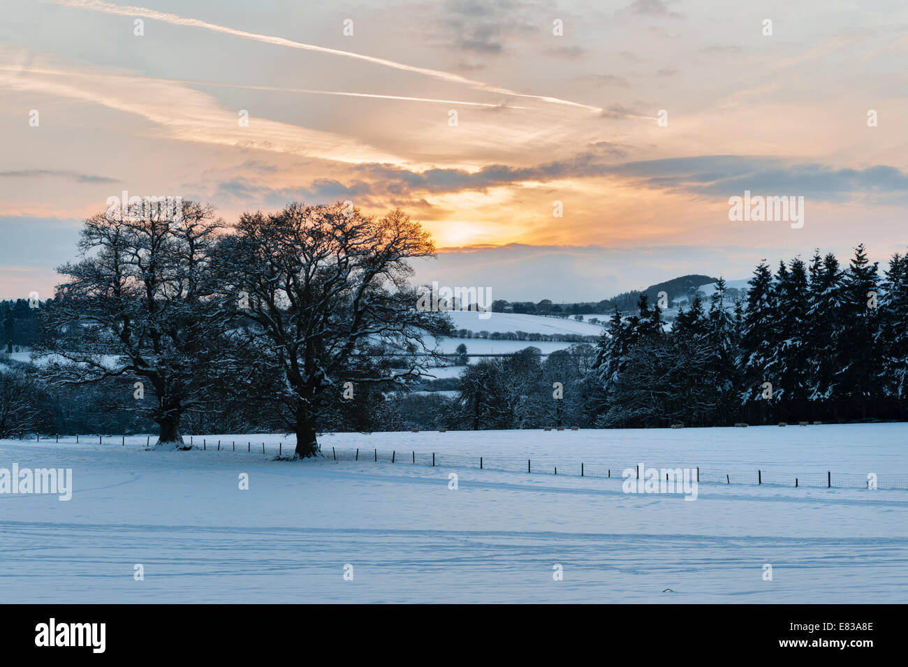 Eine feine Sonnenuntergang über eine winterliche Landschaft in mid Wales, UK Stockfoto