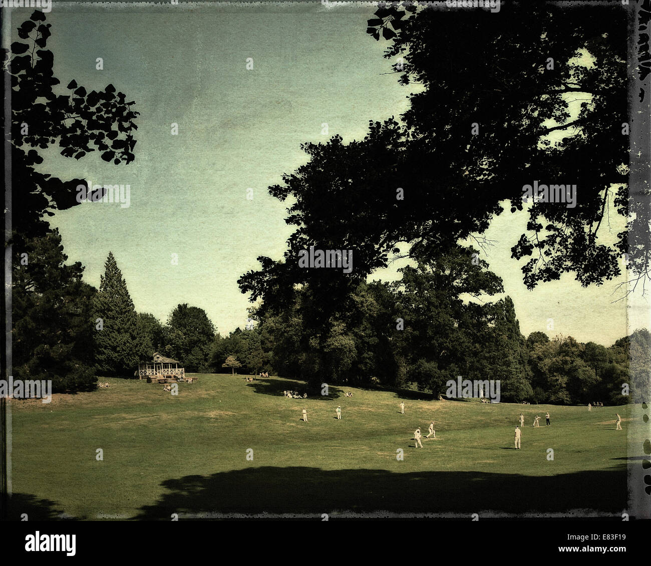 GB - DEVON: Cricket im Cockington Park (AD 2014) Stockfoto