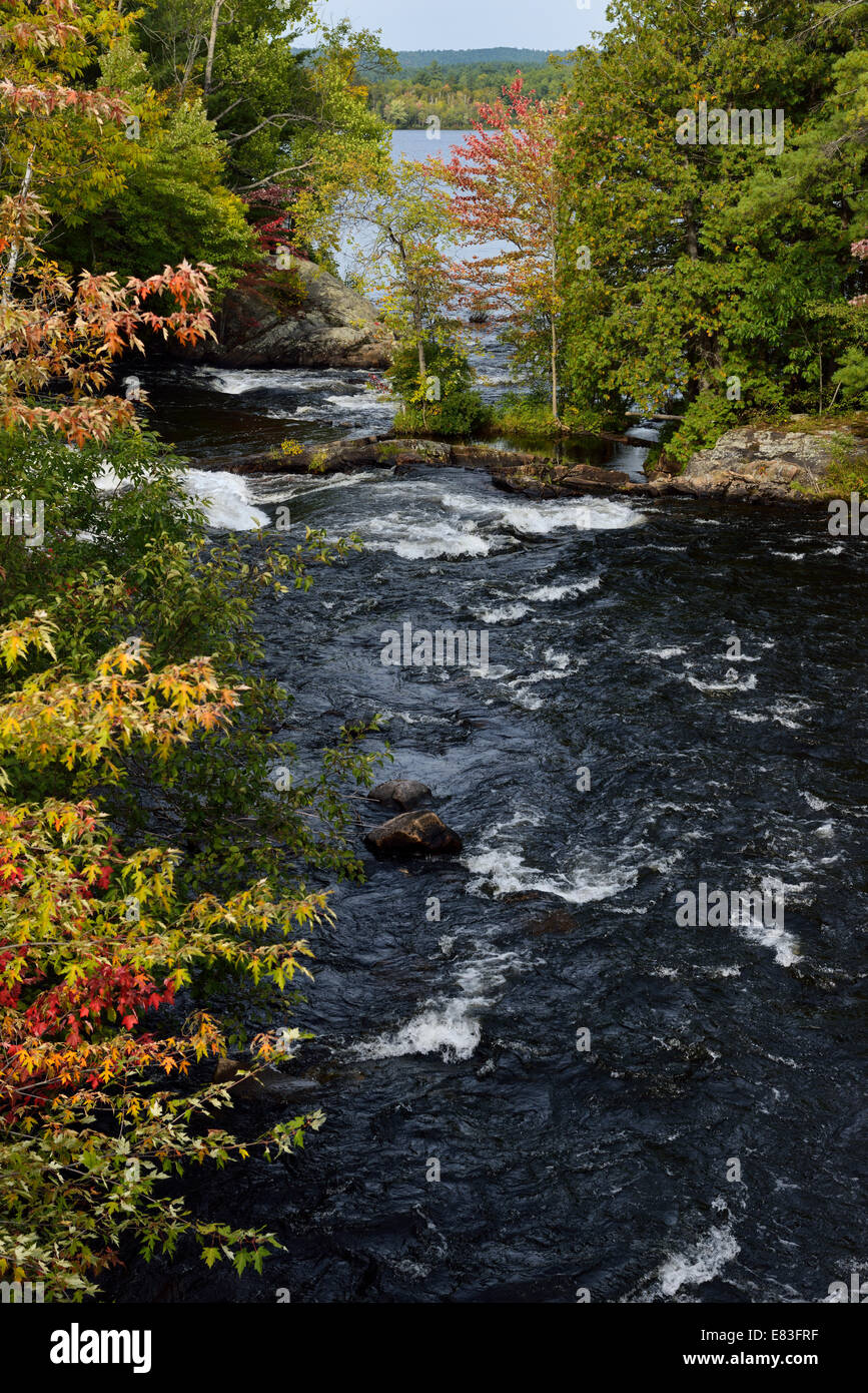 Farben des Herbstes auf die Amable du Fond Stromschnellen fließt von Norden nach krumm schießen Lake Northern Ontario Kanada Stockfoto