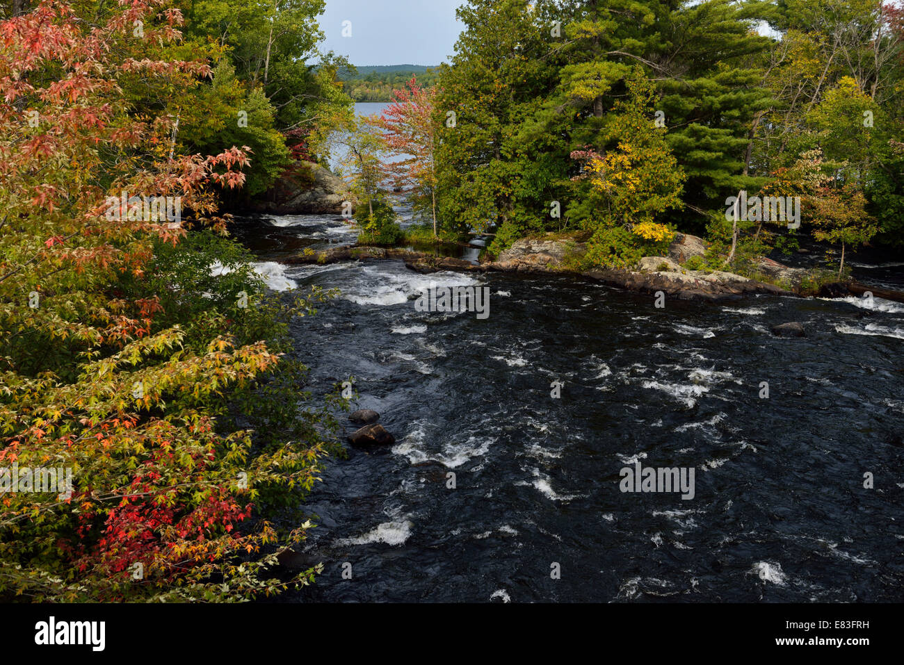 Farben des Herbstes auf die Stromschnellen Amable du Fond, krummen schießen Lake Northern Ontario Kanada Stockfoto