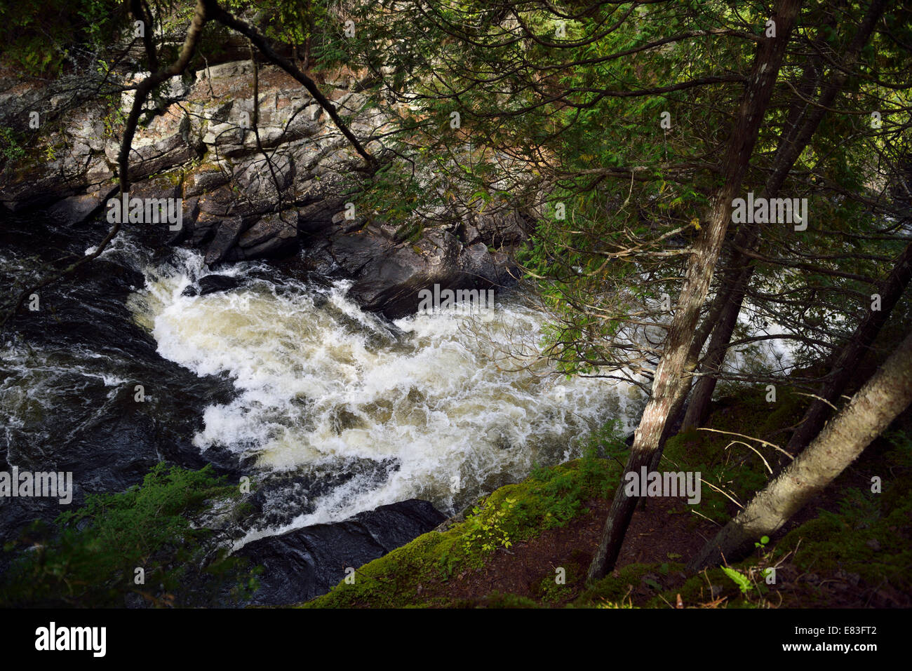 Ansicht in steilen Eau Claire Gorge Wasserfälle des Flusses Amable du Fond durch Zeder Bäume Calvin Ontario Kanada Stockfoto
