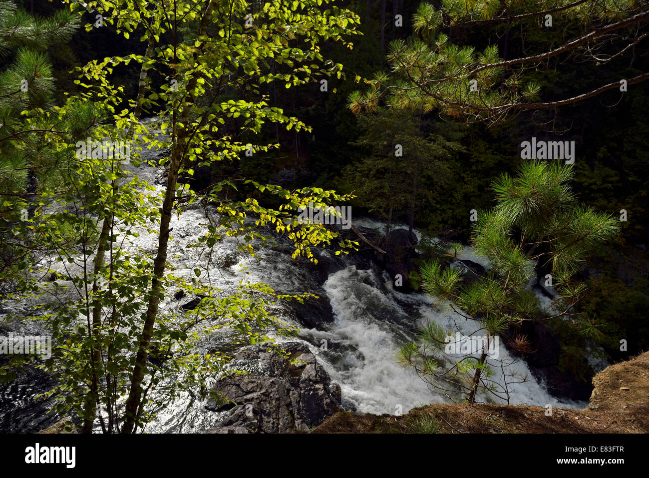 Amable du Fond Fluss fällt in Eau Claire Gorge Conservation Bereich Nord-Ontario Kanada Stockfoto