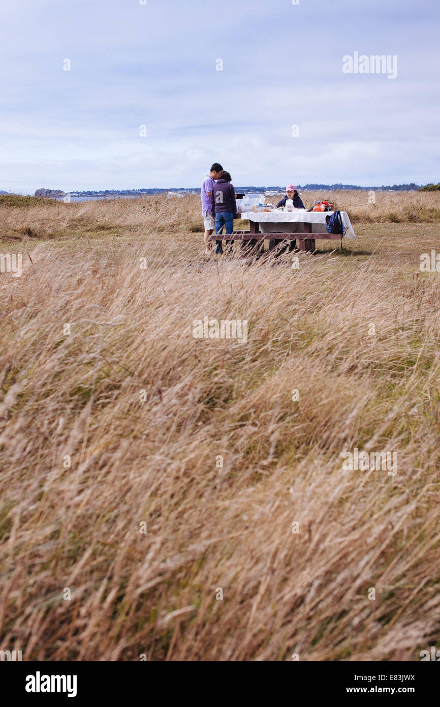 Picknick im Freien in der Nähe von Meer Stockfoto