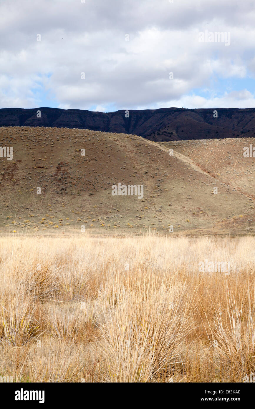 Wüste Szene mit Rasen, Hügel, Himmel und Wolken, Oregon, 2013 Stockfoto