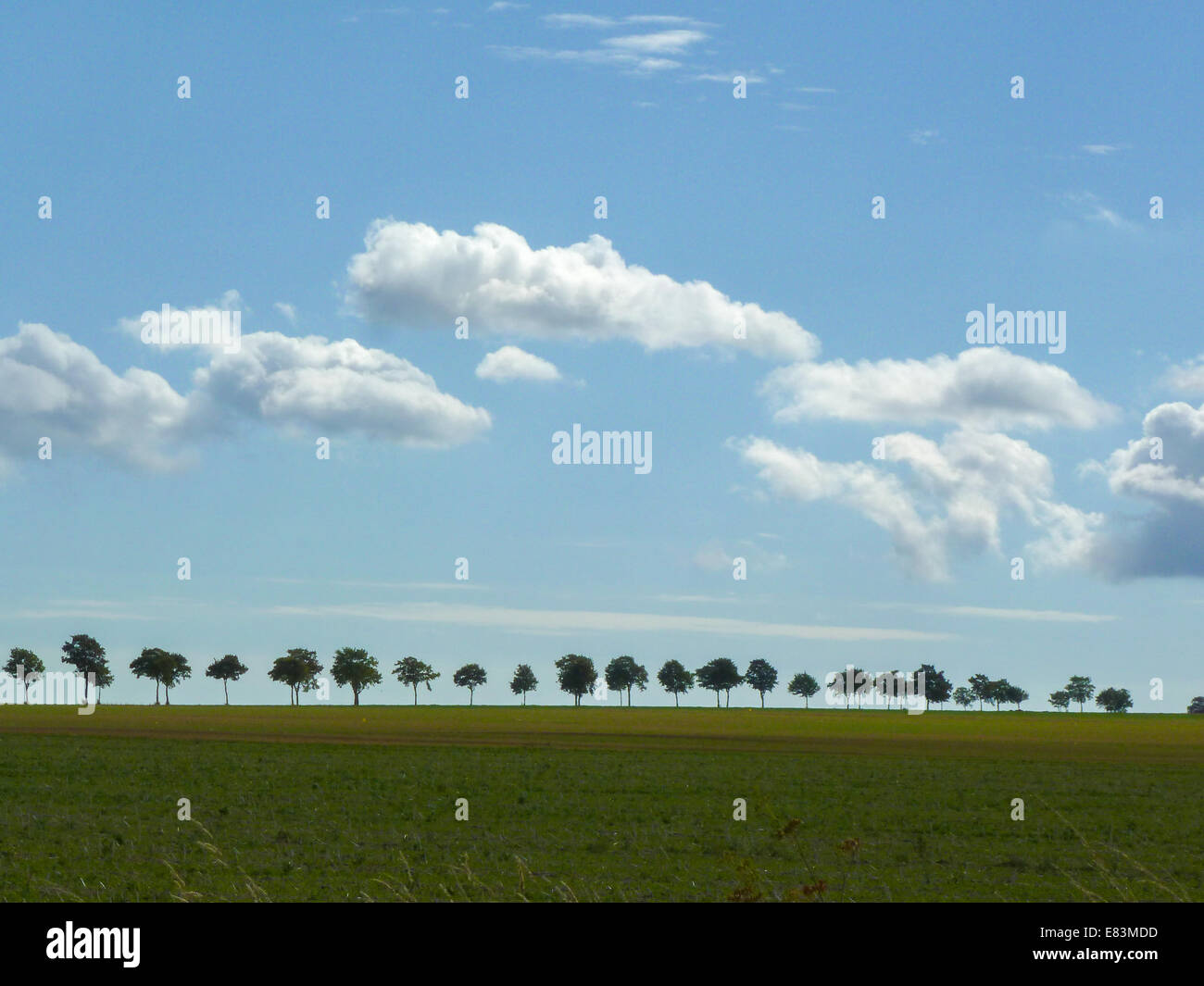 Landschaft im Argonne Frankreich Stockfoto