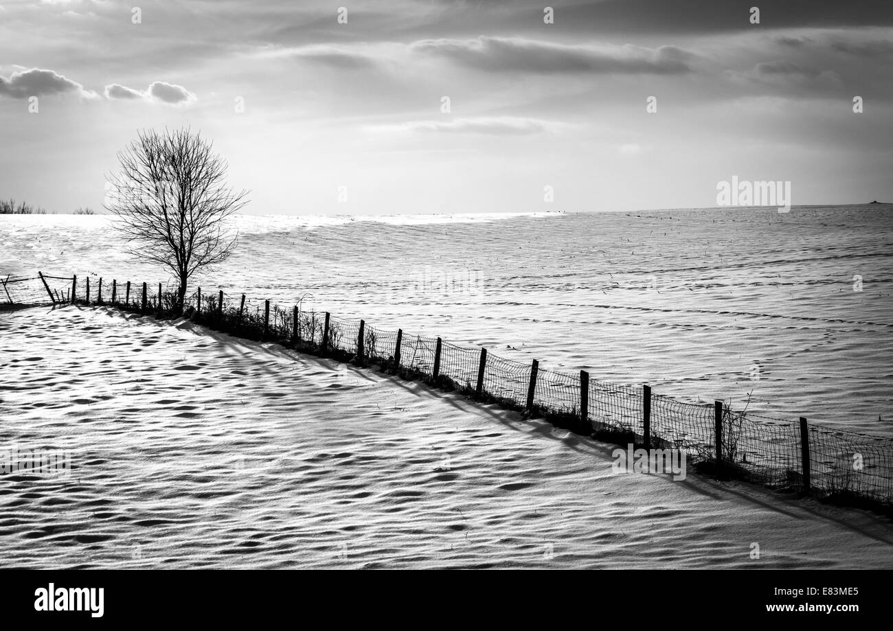Zaun und Baum auf einem Schneefeld überdachten Hof in ländlichen Carroll County, Maryland. Stockfoto