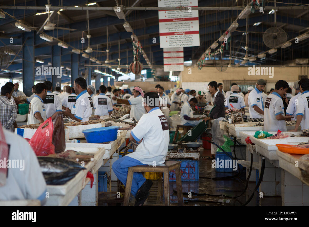Fischmarkt von Deira, Dubai, Vereinigte Arabische Emirate Stockfoto