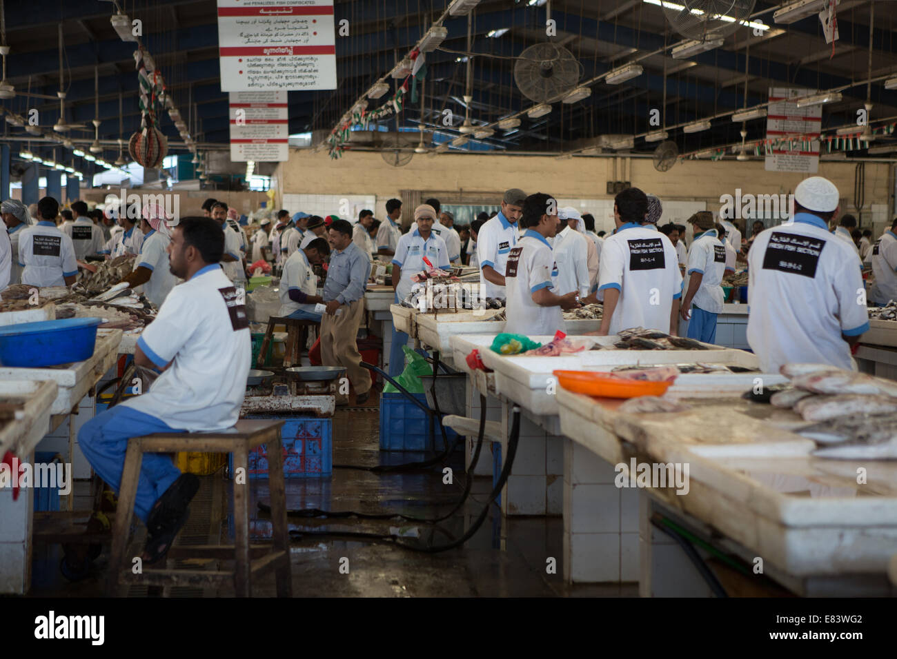 Fischmarkt von Deira, Dubai, Vereinigte Arabische Emirate Stockfoto