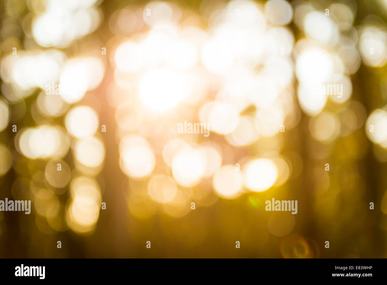 Bokeh Hintergrund defokussierten Licht durch Bäume Stockfoto