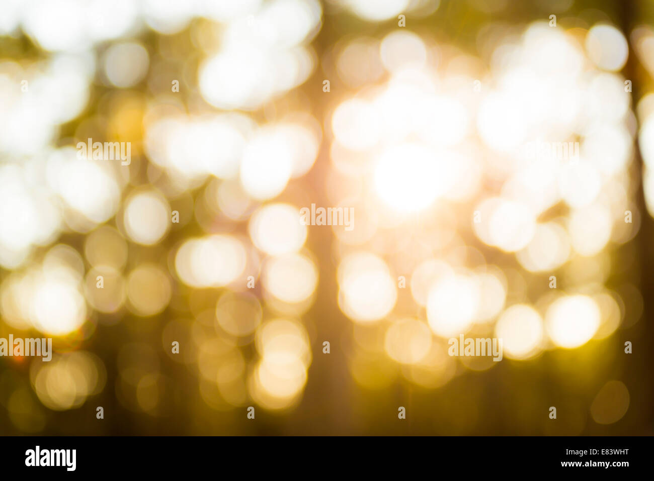Bokeh Hintergrund defokussierten Licht durch Bäume Stockfoto