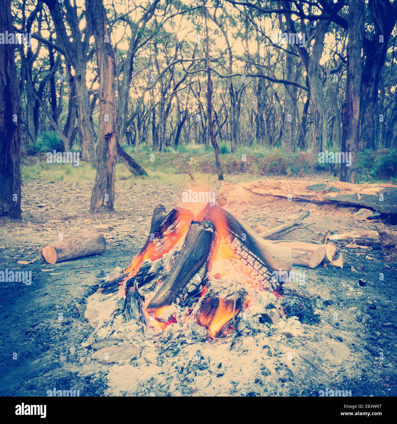 Lagerfeuer brennt hell im Wald in der Dämmerung mit Instagram-Stil-filter Stockfoto