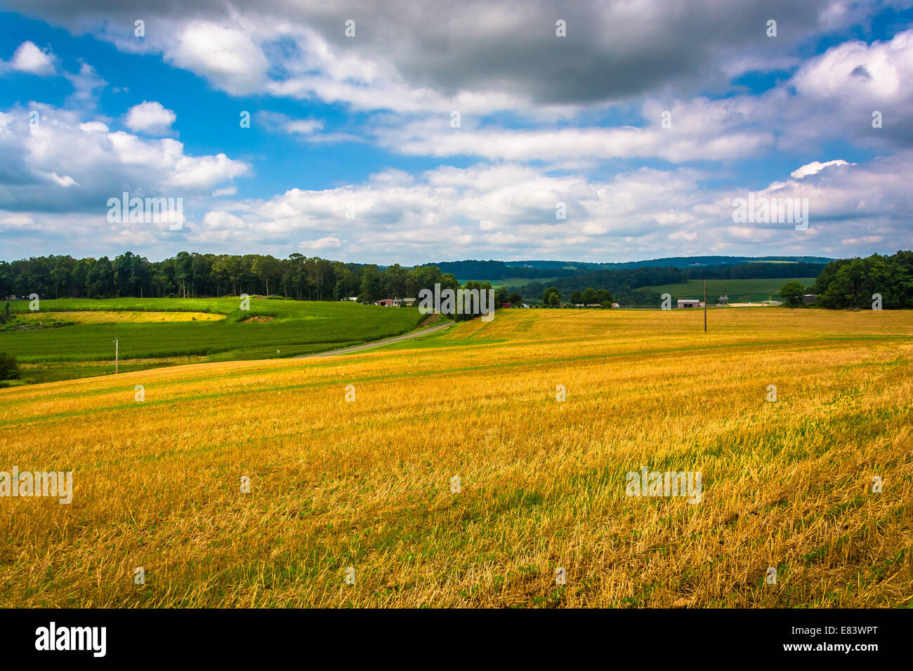 Blick auf Feldern und sanften Hügeln in ländlichen Carroll County, Maryland. Stockfoto