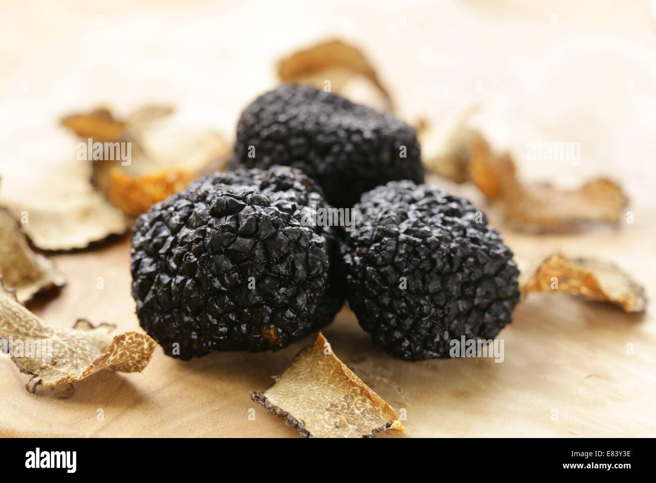 teure seltene schwarze Trüffel-Pilz - Gourmet-Gemüse Stockfoto