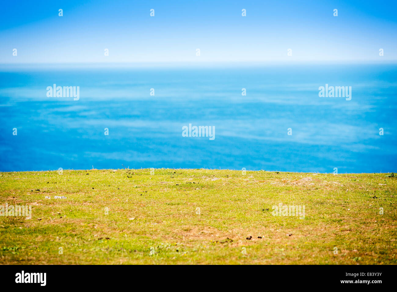 Grünes Feld mit Ozean hinter und blauer Himmel mit flachen Fokus auf dem Rasen nur Stockfoto