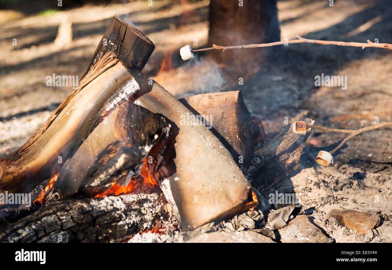 Person Rösten Marshmallows am Spieß über dem Lagerfeuer beim camping Stockfoto