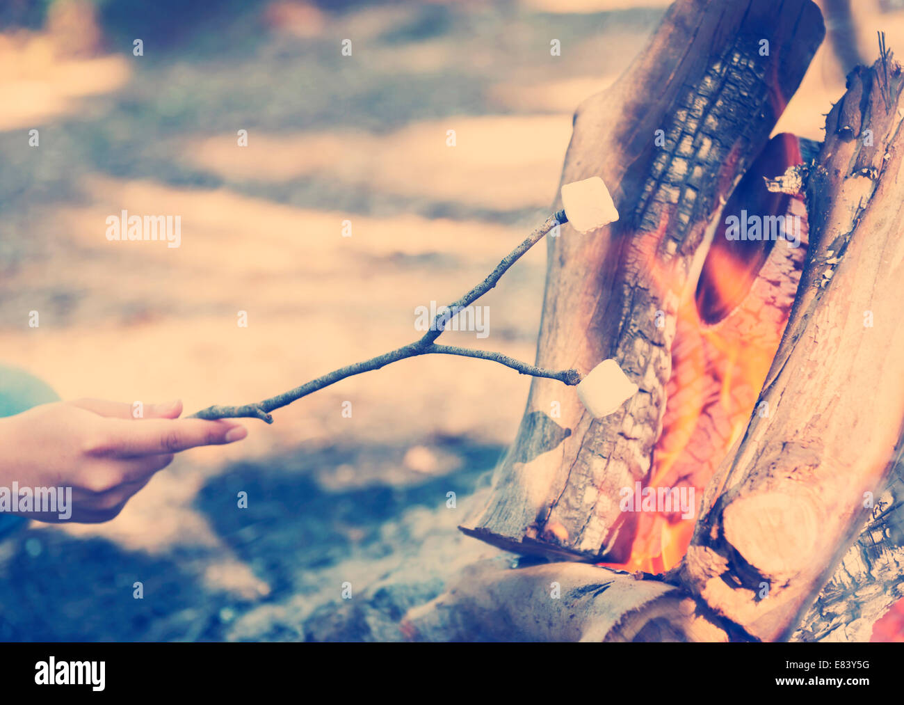 Person Rösten Marshmallows am Spieß über dem Lagerfeuer beim camping mit Instagram-Stil-filter Stockfoto