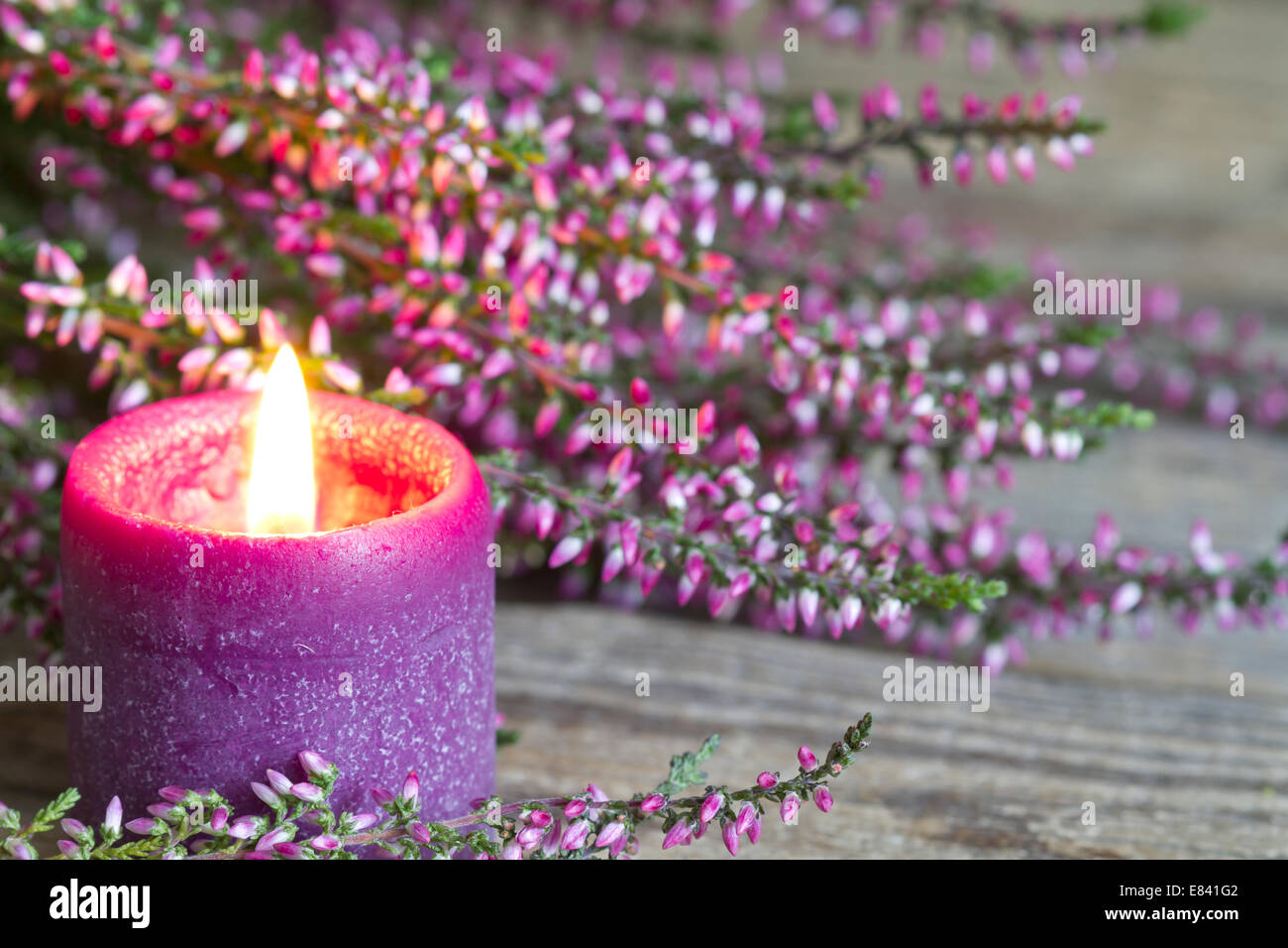 Heather auf Holzbrettern abstrakten floralen Hintergrund Konzept Stockfoto