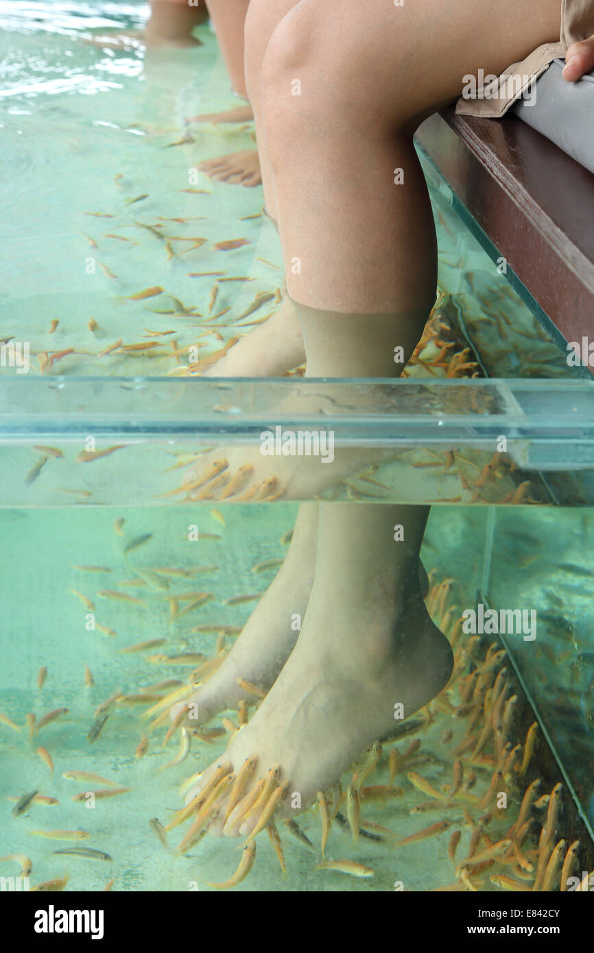 Fisch Spa Fuß Haut-Therapie Stockfoto