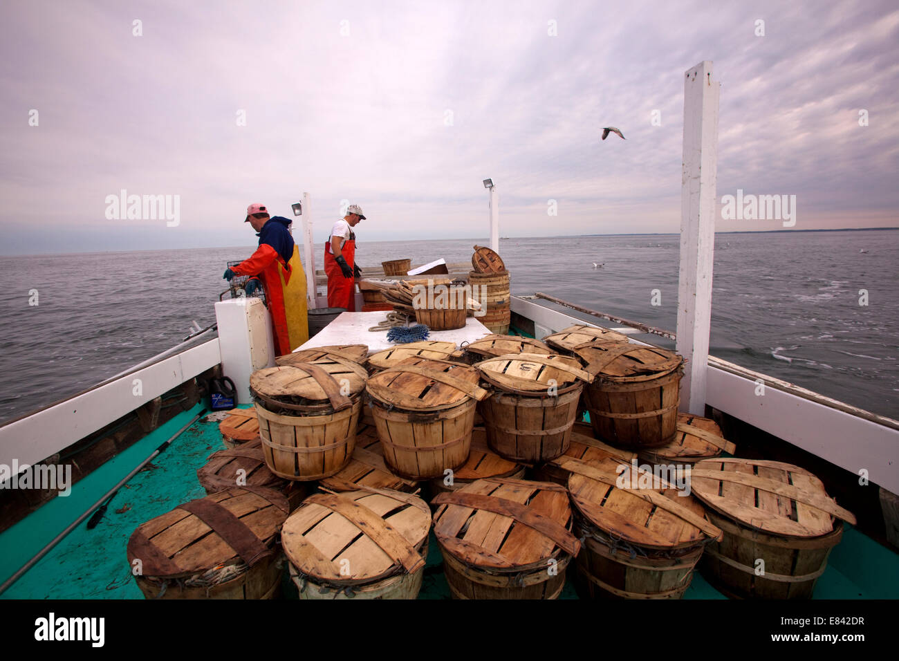 Gestapelte Krebse Bushel und Fischer an Bord der Yacht auf See, Chesapeake Bay, Maryland, USA Stockfoto