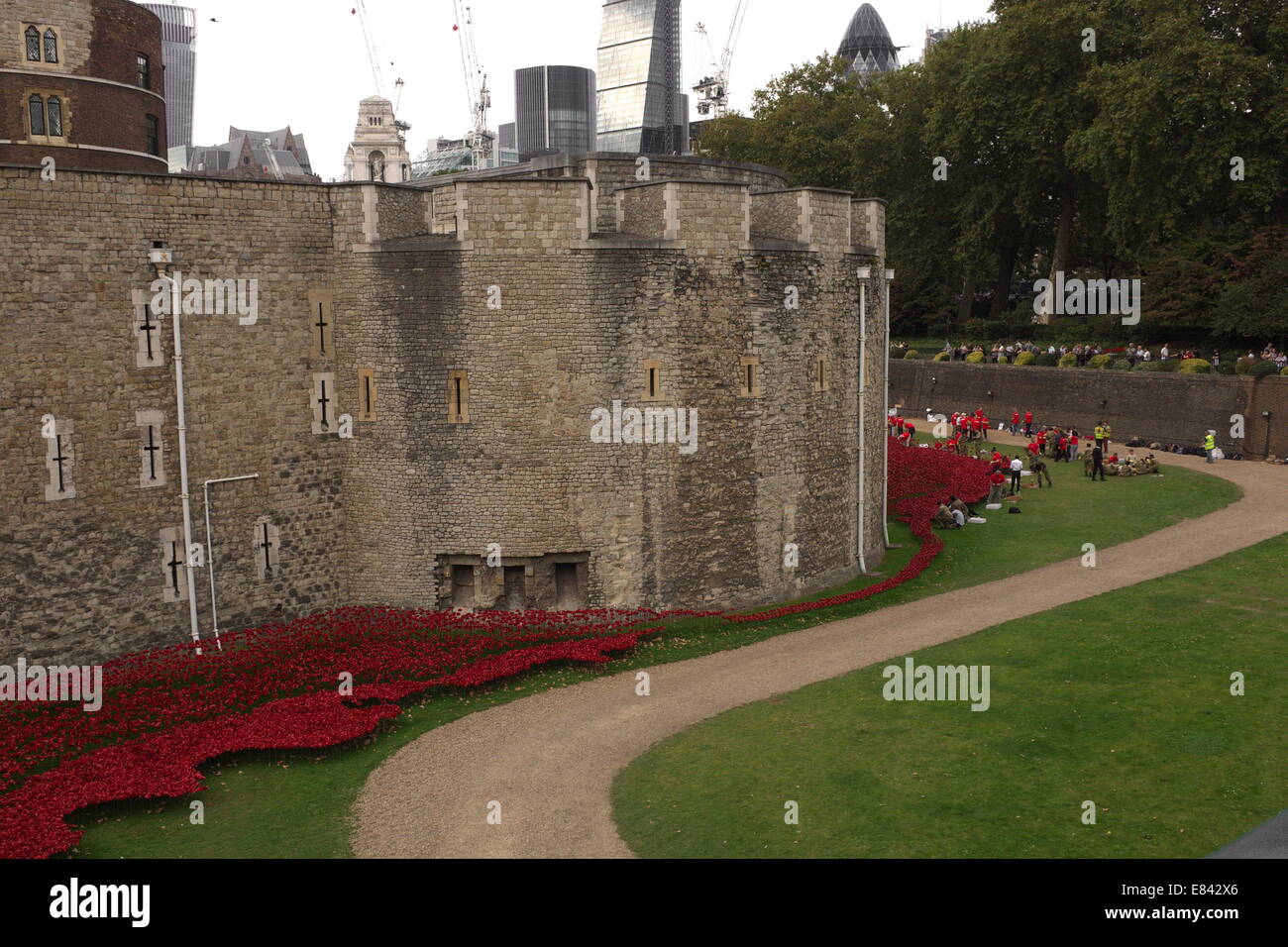 Mohn in den Tower of London Stockfoto