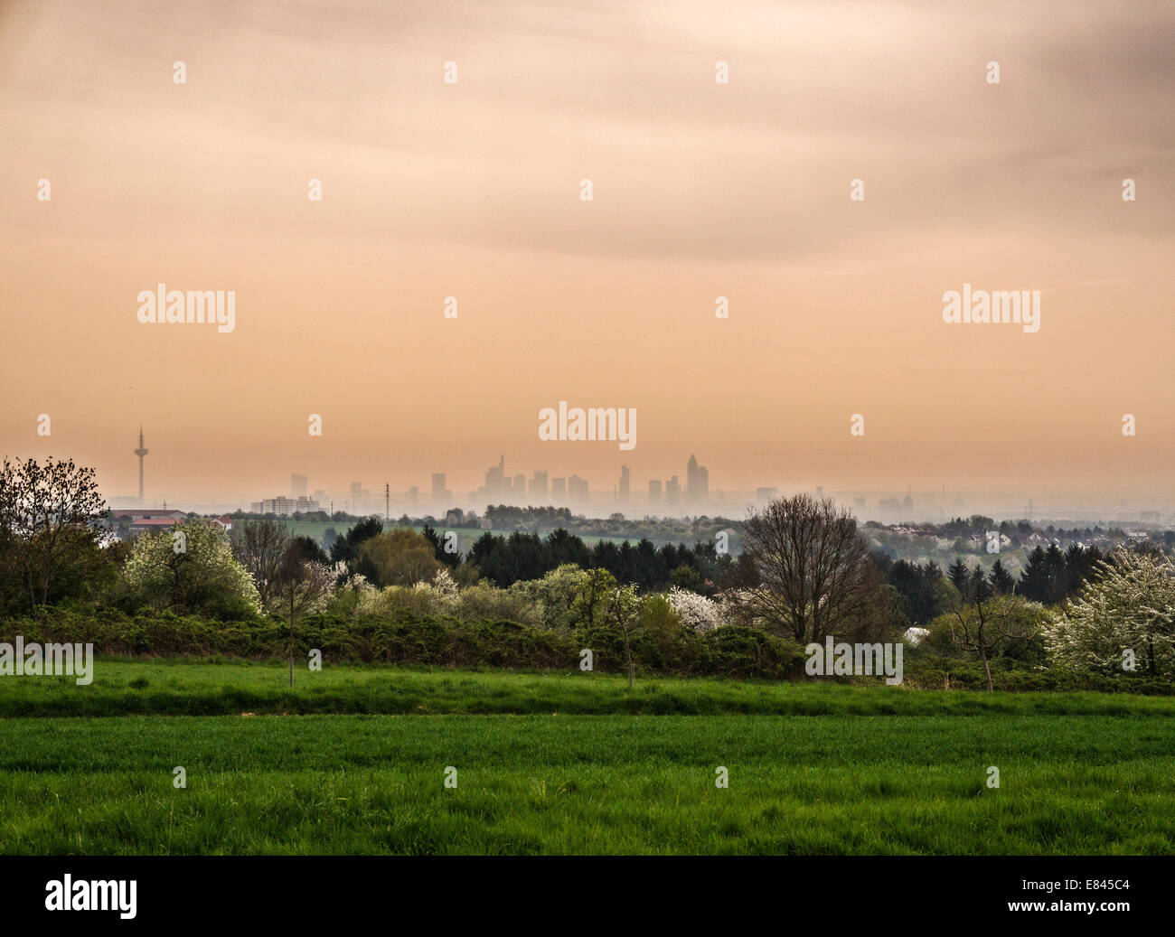 Silhouette auf die Skyline von Frankfurt in der Ferne. Stockfoto