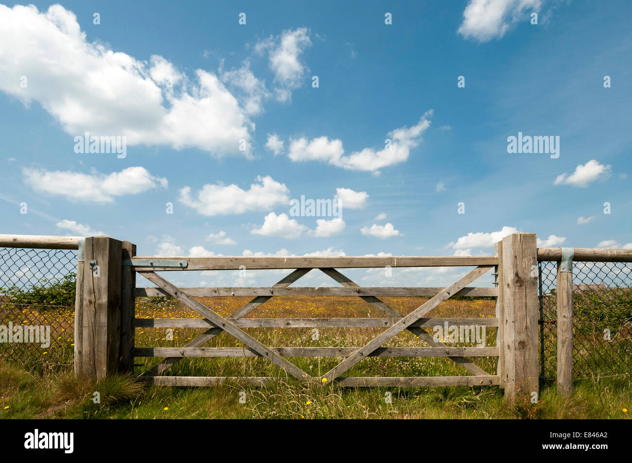 fünf Holzbar Tor Stockfoto