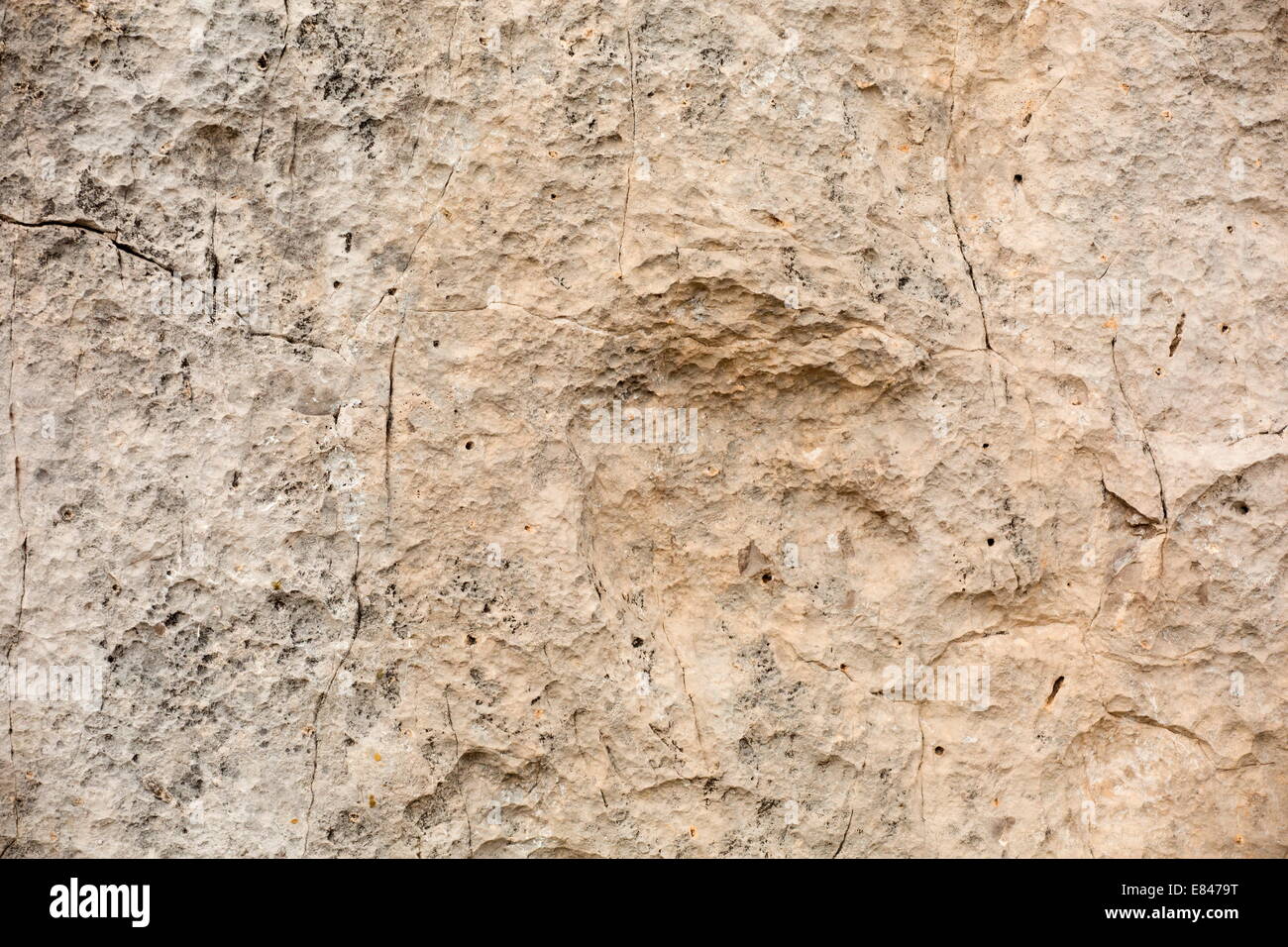 Dinosaurier-Fußabdruck, 200 Myo Eubrontes sp, Dolomiten, Italien Stockfoto
