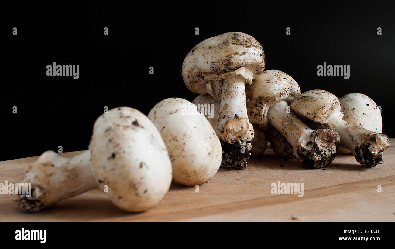 Fotografierten Pilze auf Schneidebrett Stockfoto