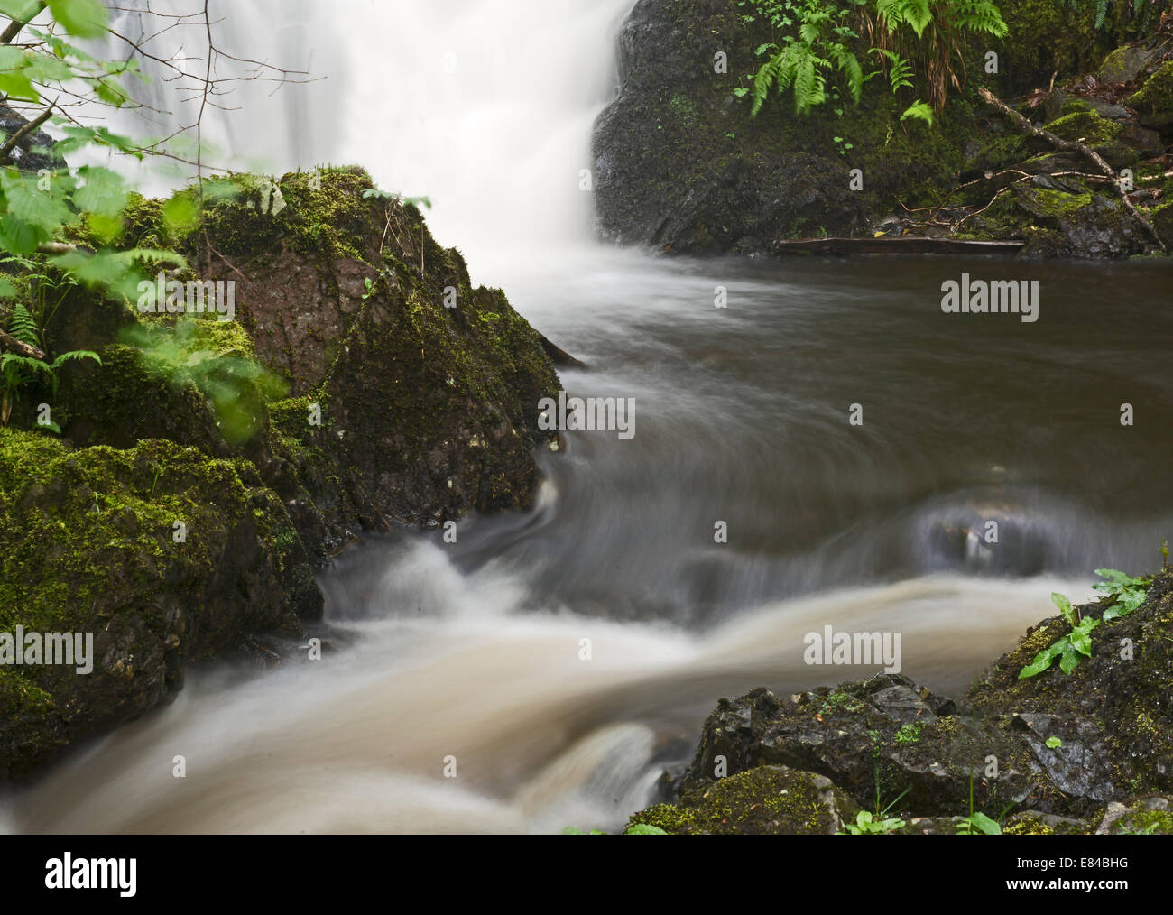 Holz von Cree Wasserfall in Holz von Cree RSPB Reserve & Galloway Dumfries Schottland Mai Stockfoto