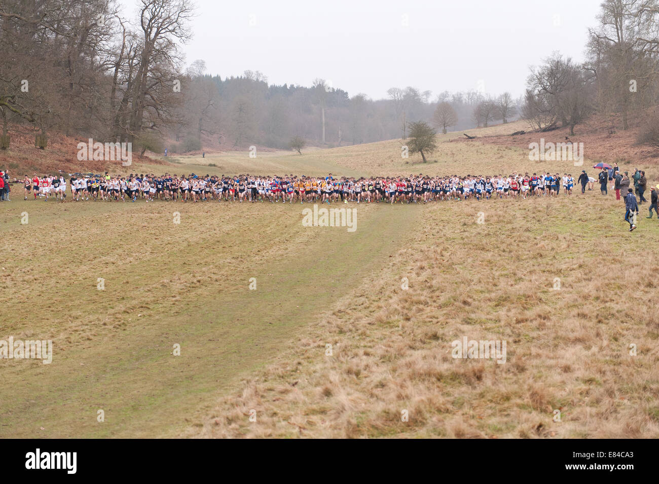 Annual Knole Run Sevenoaks School Kreuz Land Jugend 15 16 17 jährige 6 Meile laufen in Teams harte Ausdauer Rennen starten Stockfoto