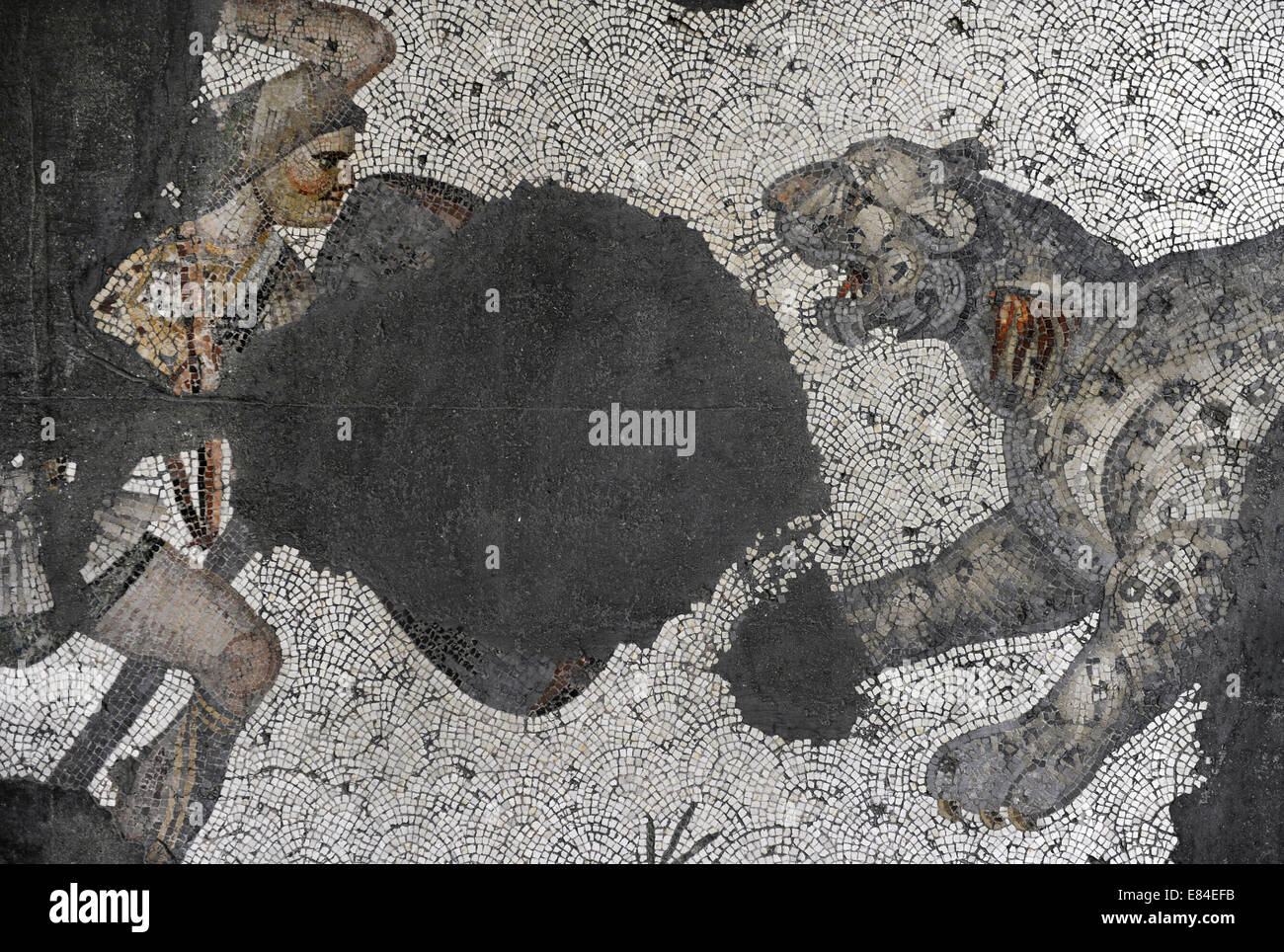 Großer Palast Mosaik-Museum. 4.-6. Jahrhunderte. Jagdleopard. Istanbul. Turkei. Stockfoto