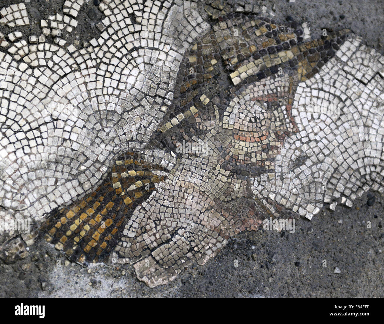 Großer Palast Mosaik-Museum. 4.-6. Jahrhunderte. Kopf einer jungen rustikal. Istanbul. Turkei. Stockfoto