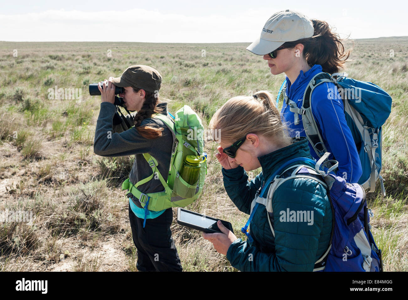 Drei junge Frauen auf der Suche nach Bisons auf der amerikanischen Prärie-Reserve im nördlichen Montana. Stockfoto