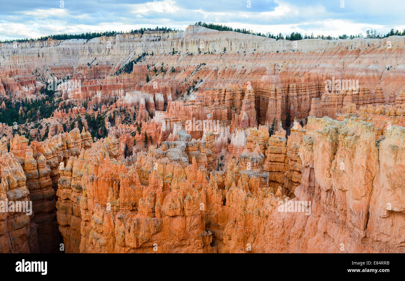 Bryce Canyon - Utah Stockfoto