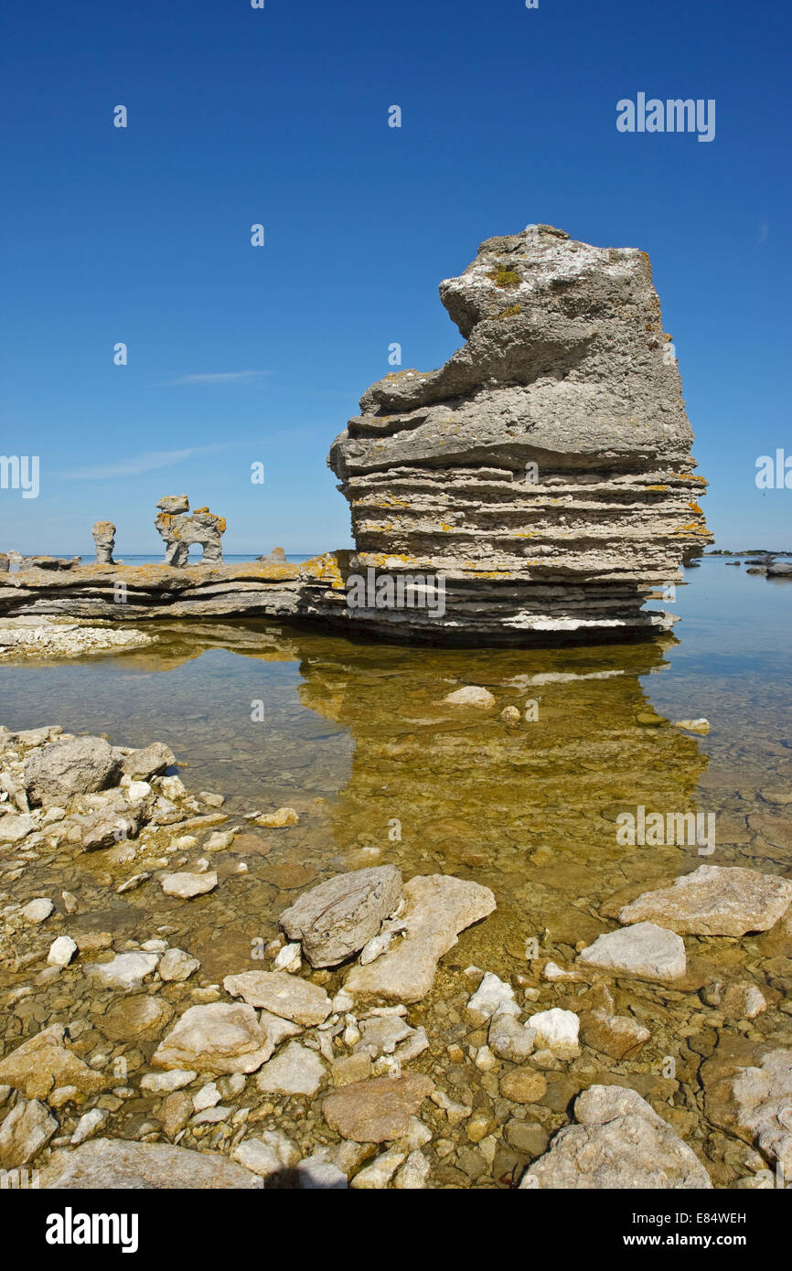 Kalkstein-Stacks genannt Rauks in Gamla Hamnøya Naturschutzgebiet von Lautervik auf der nördlichen Färöer, Gotland, Schweden, Skandinavien Stockfoto