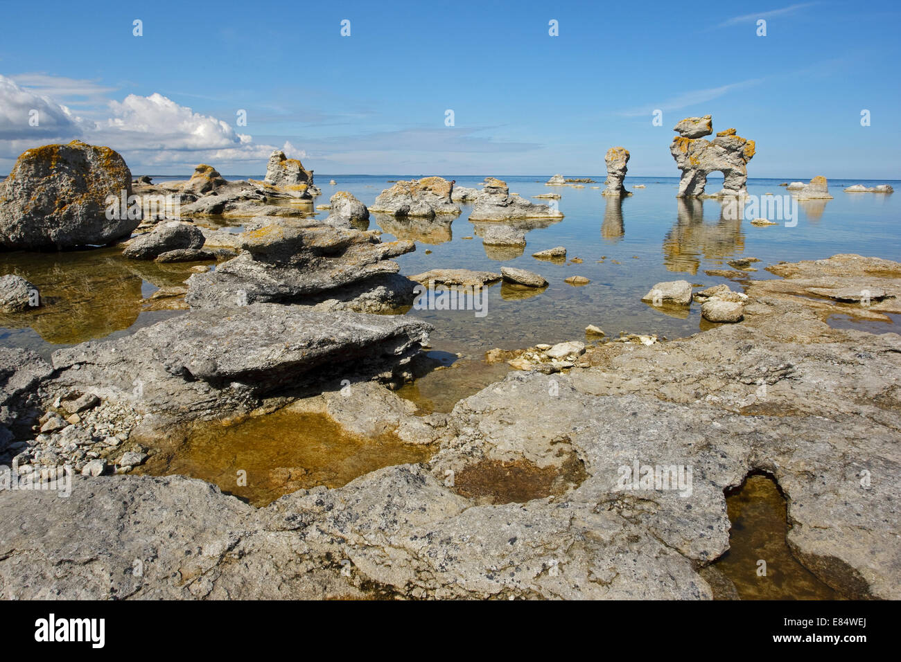 Kaffepannan, Hund, Kalkstein Stapel namens Rauks im Gamla hamn Naturschutzgebiet von Lautervik auf der nördlichen Färöer, Gotland, Schweden, Skandinavien Stockfoto