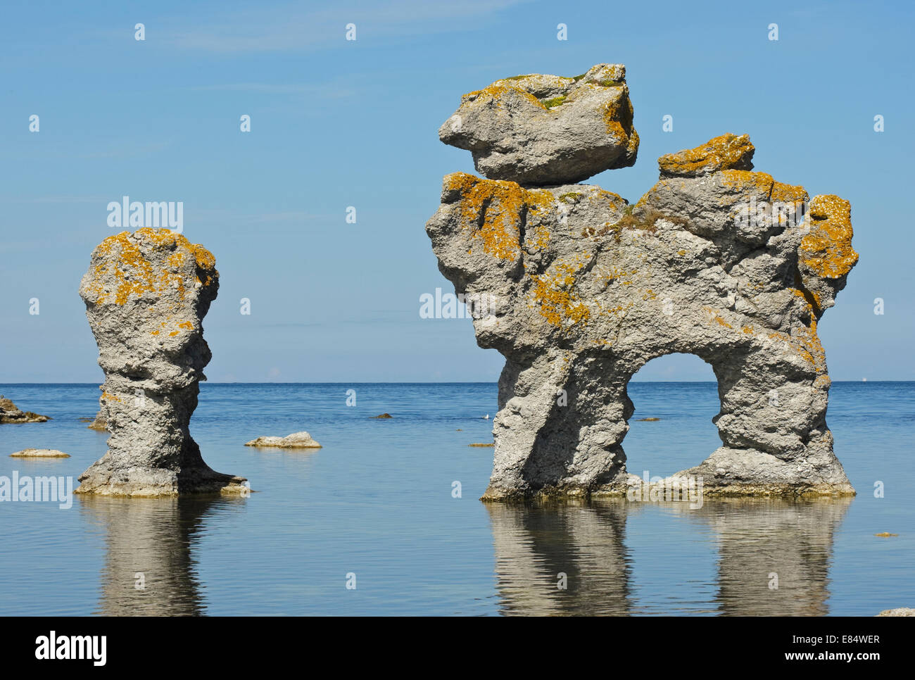 Kaffepannan, Hund, Kalkstein Stapel namens Rauks im Gamla hamn Naturschutzgebiet von Lautervik auf der nördlichen Färöer, Gotland, Schweden, Skandinavien Stockfoto
