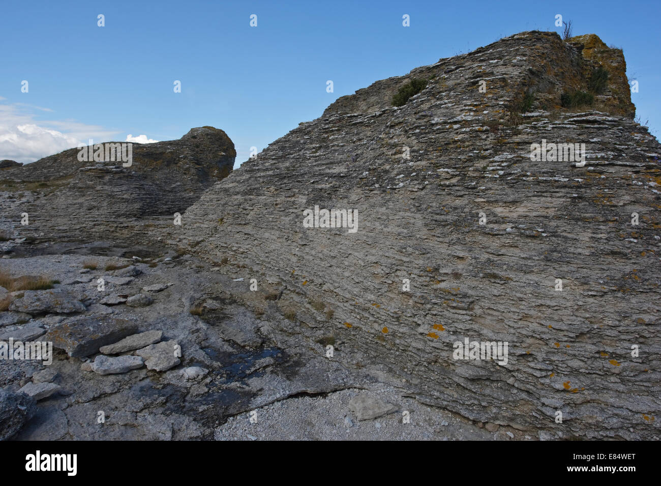 Kalkstein-Stacks genannt Rauks in Gamla Hamnøya Naturschutzgebiet von Lautervik auf der nördlichen Färöer, Gotland, Schweden, Skandinavien Stockfoto