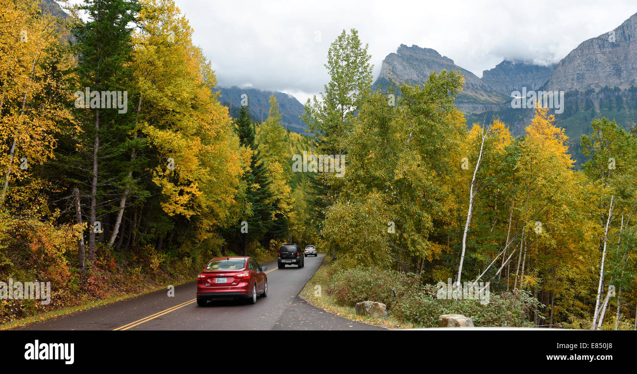 Autos auf dem Weg zum Sun Road mit Herbstfarben im Glacier National Park, Montana, USA. Stockfoto