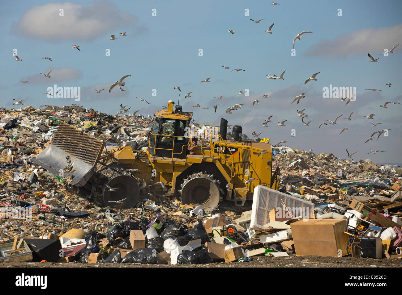 Trashmaster bewegt sich Müll in eine aktive Deponie Zelle an Shepard Waste Management Facility. Stockfoto