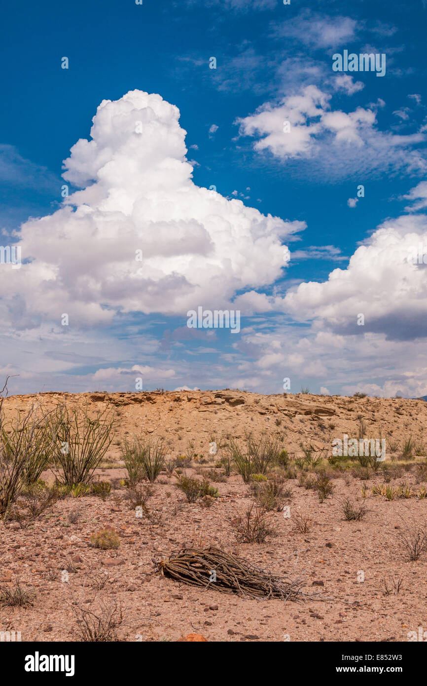 Wolken in der Wüste im Big Bend National Park im Südwesten von Texas. Stockfoto