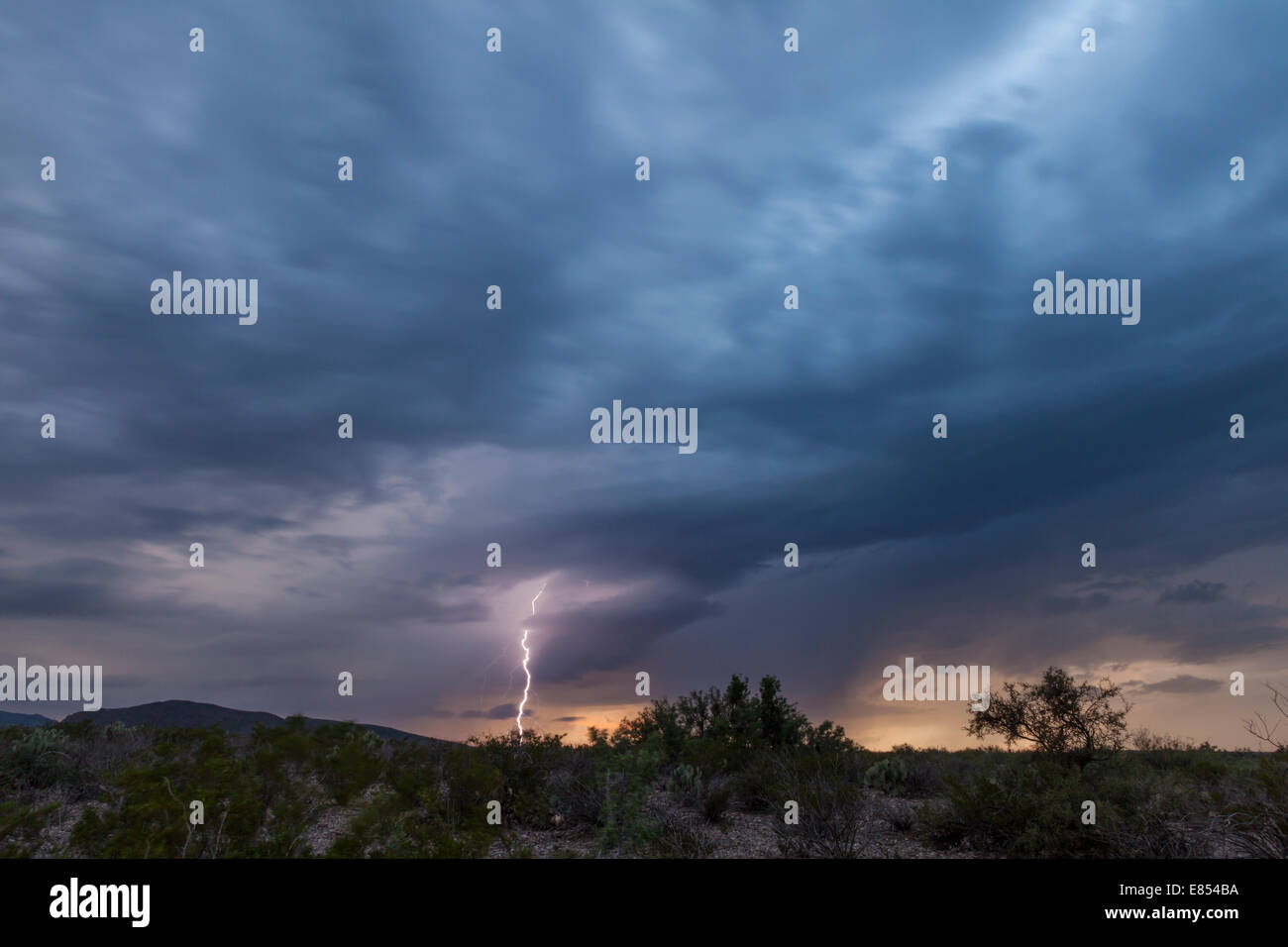 Gewitterwolken und Blitze bei Dugout Wells in Big Bend Nationalpark. Stockfoto