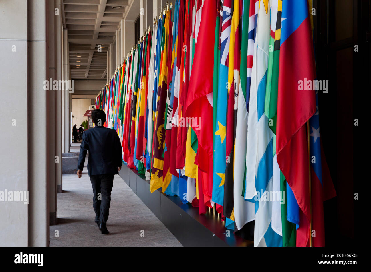 Mann zu Fuß durch staatliche Fahnen Anzeige am Internationalen Währungsfonds Gebäude - Washington, DC USA Stockfoto