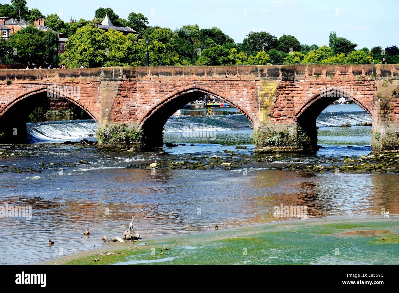 Blick auf die Alte Brücke entlang des Flusses Dee Dee, Chester, Cheshire, England, UK, Westeuropa. Stockfoto