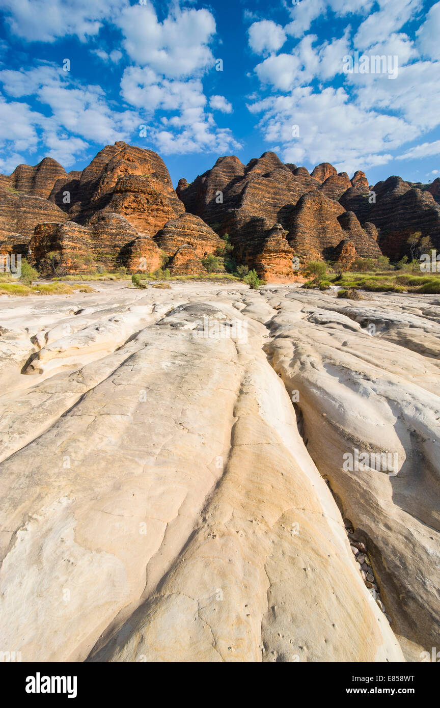 Bungle Bungles, Bienenstock-förmigen Sandstein Türme, Purnululu National Park, UNESCO-Weltkulturerbe, östlichen Kimberleys Stockfoto