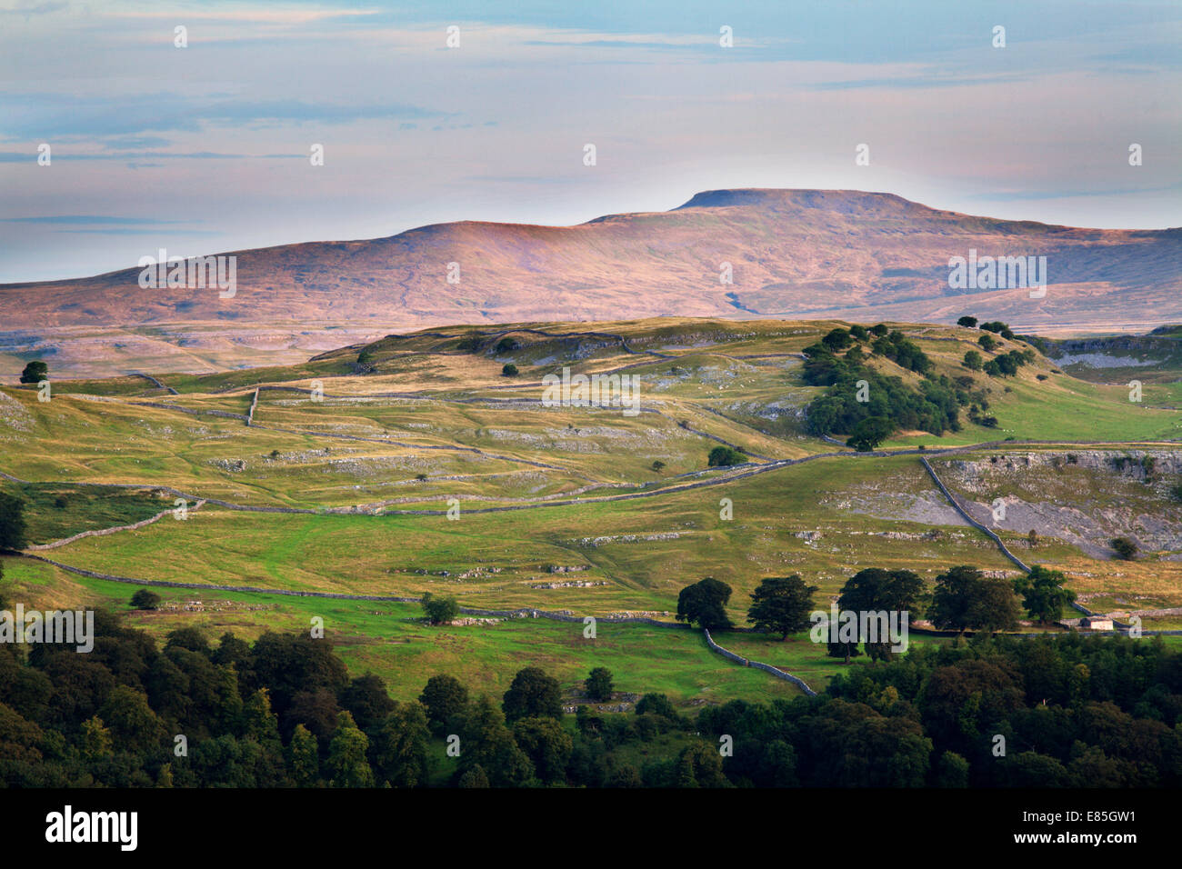 Rosa Licht auf Ingleborough bei Sonnenaufgang aus Blua Klippen Settle Ribblesdale Yorkshire Dales England Stockfoto