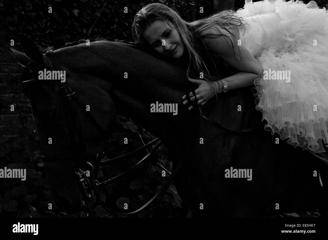 Braut auf einem Pferd Stockfoto