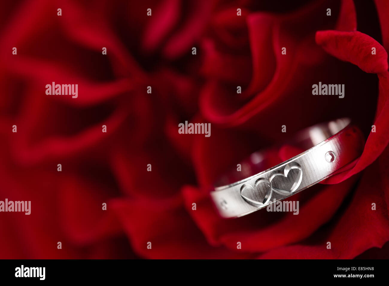 Ring mit Gravur Herzen in Rosenblüten. Stockfoto