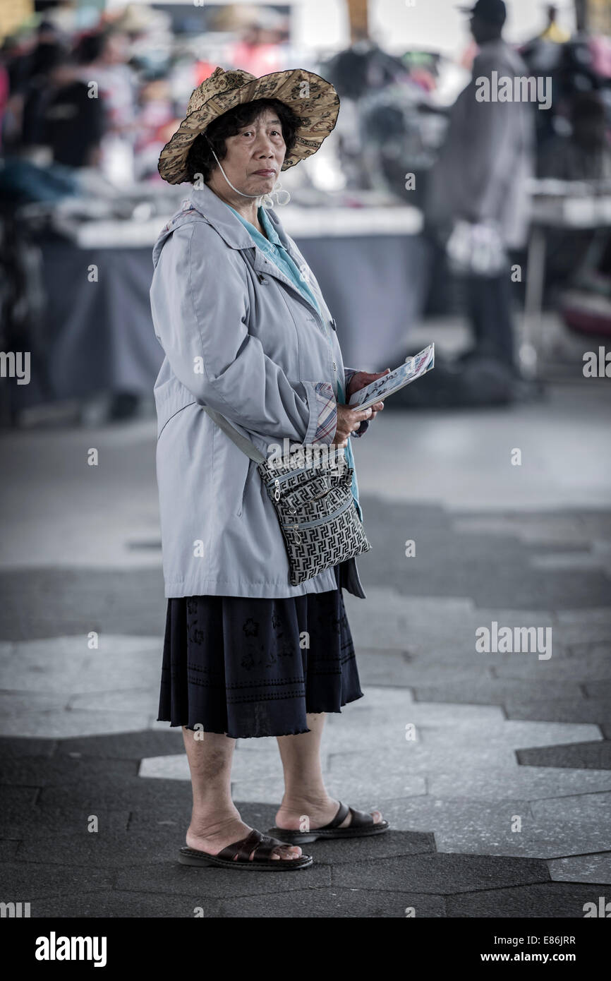 Eine Dame verteilt Flyer auf einem Straßenmarkt in der John Street in der Nähe von FDR Drive in Manhattan, New York - USA Stockfoto