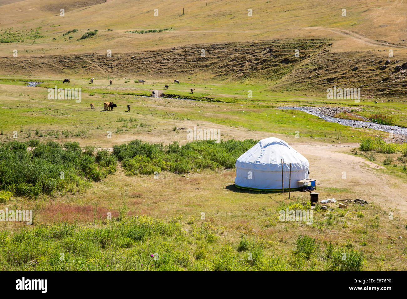 Kasachische Jurte in Assy plateau im Tien-Shan-Gebirge in Almaty, Kasachstan, Asien im Sommer. Natur von grünen Bäumen und See Stockfoto